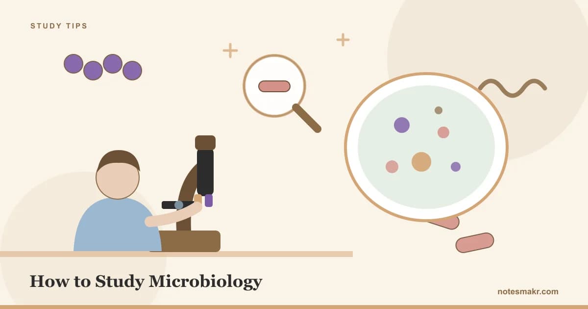 Cover Image for How to Study Microbiology: A Pattern System (2026)