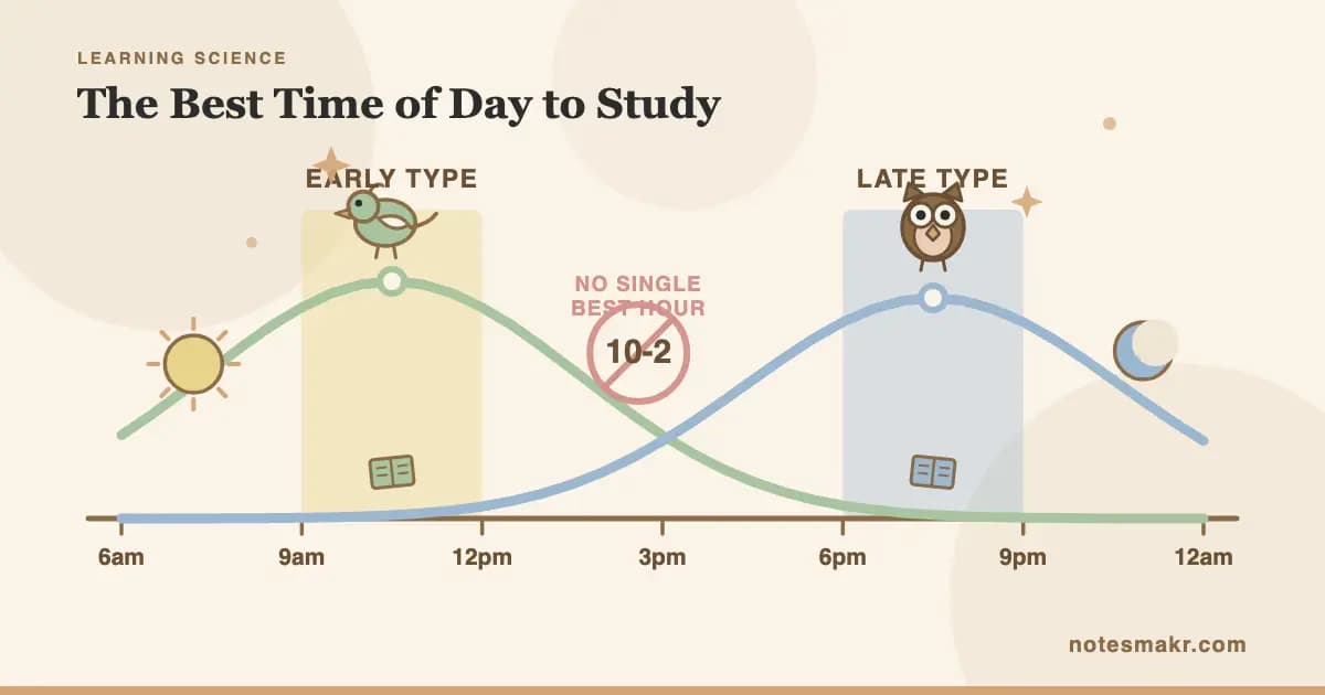 Best Time of Day to Study: What the Research Says (2026)